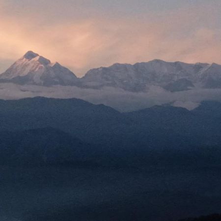 Golden Himalaya Homestay 考萨尼 外观 照片