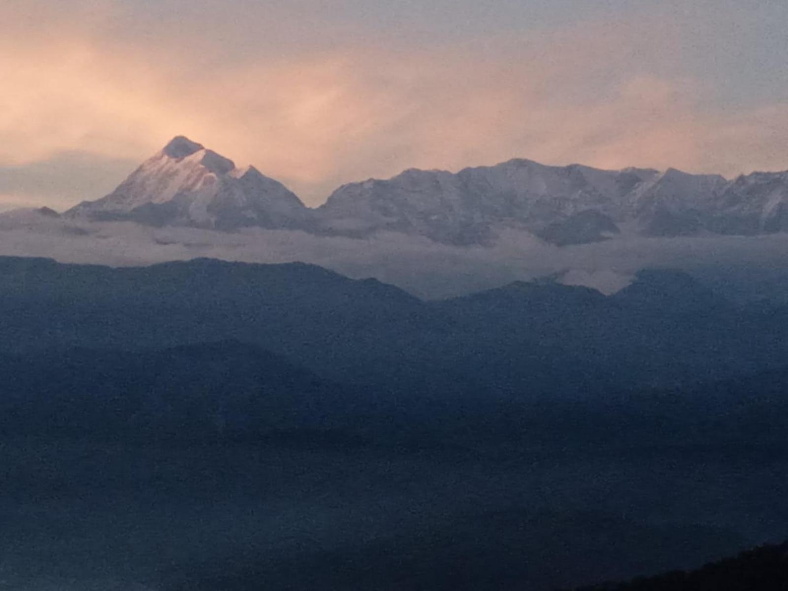 Golden Himalaya Homestay 考萨尼 外观 照片